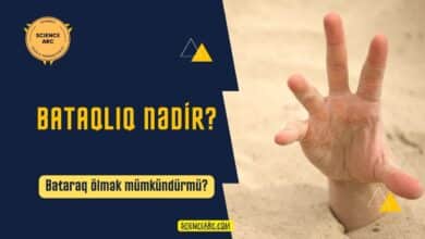 bataqlıqda batmaq